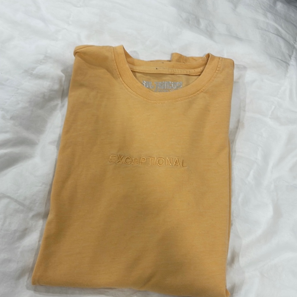 Mens T-shirt medium.